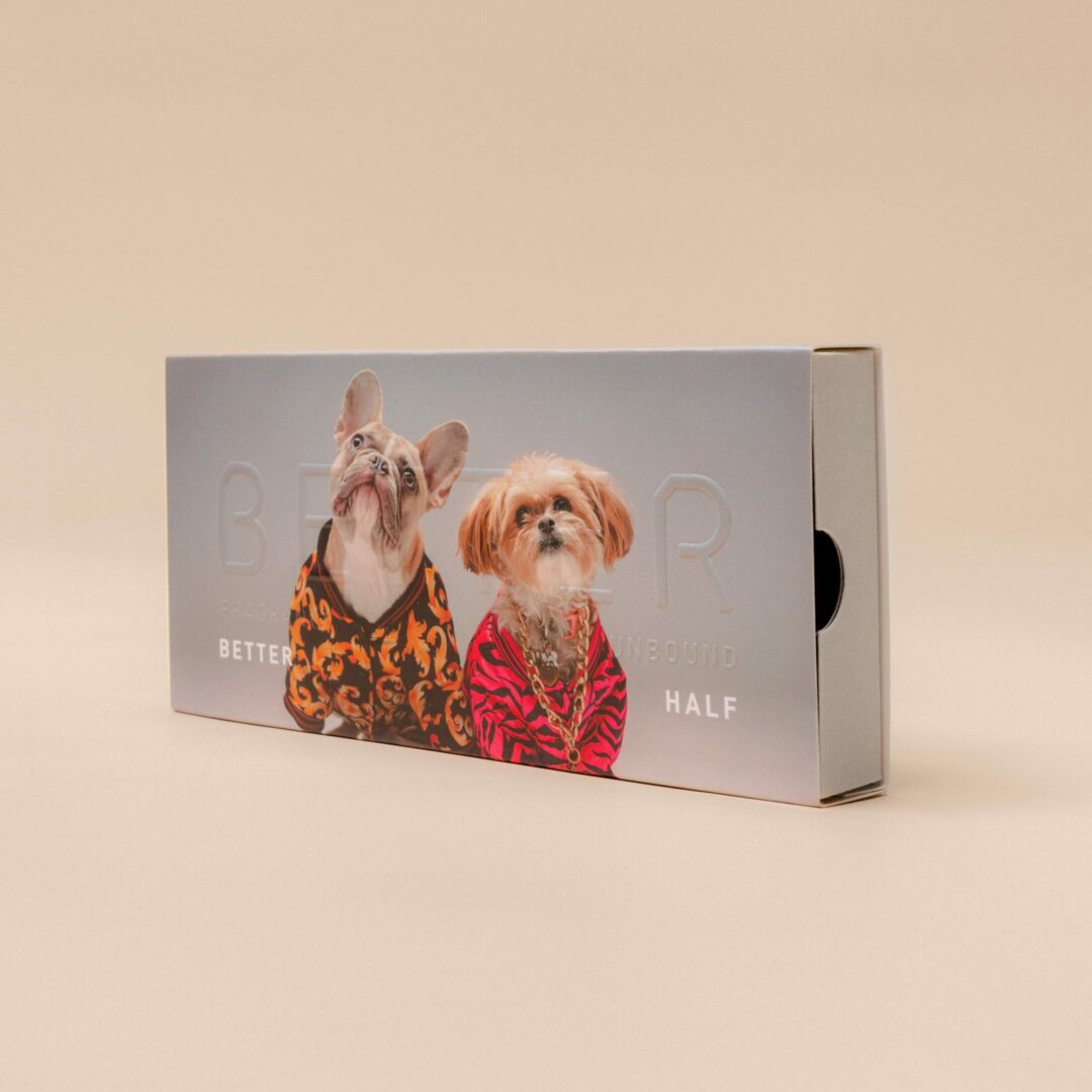 Discovery Set - Better Half Pups
